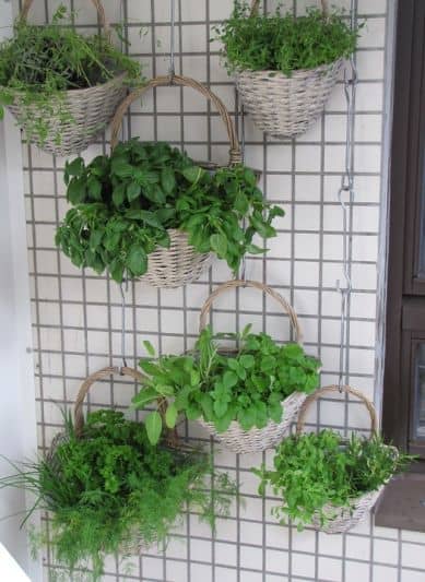 vertical pots herbs on balcony