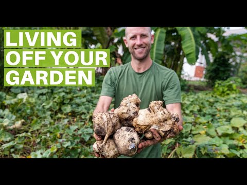 13+ Survival Gardening Crops To Grow To Live Off Your Garden