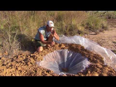 Emergency Water Source - Evaporating with a Solar Still: Survival Tip ► All 4 Adventure TV