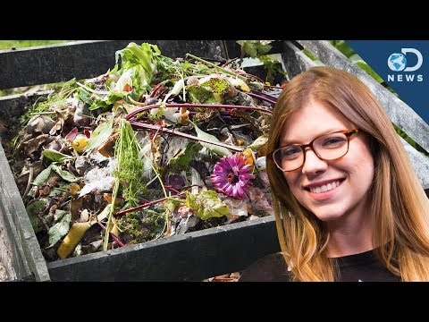 How To Start Your Own Compost