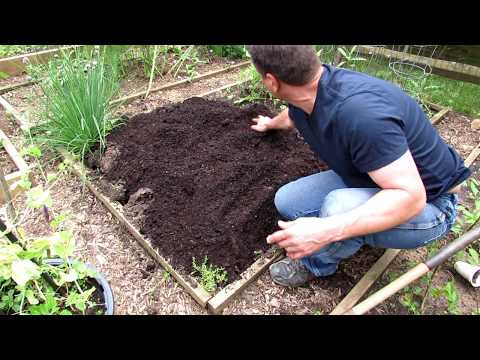 A Complete Guide to Digging &amp; Planting Your First Vegetable Garden: Tomatoes, Peppers &amp; Herbs