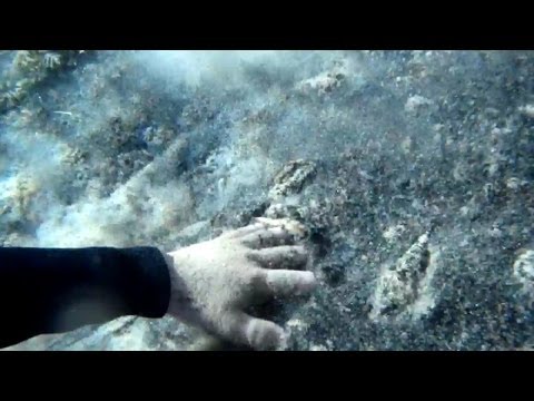 Large Underwater Springs in New Mexico (Submerged Quicksand)