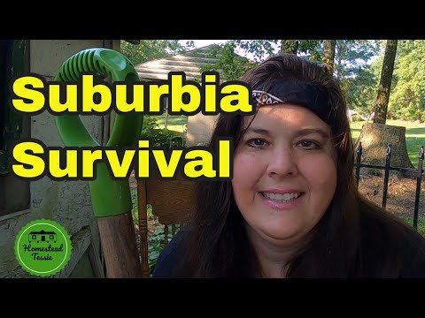Suburban survival introduction!