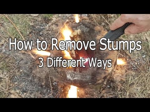 How to Remove Stumps Three Different Ways
