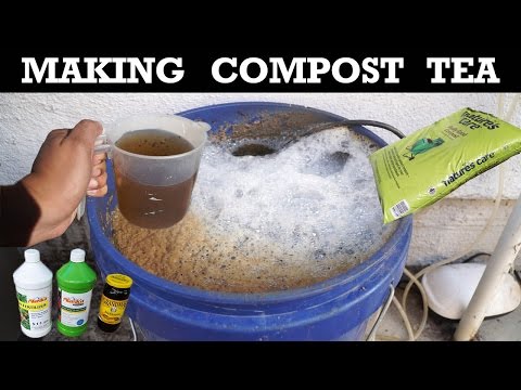 How To Make Compost Tea - Organic Fertilizer For Your Plants