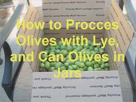 How to Process Olives with Lye and Can Olives in Jars