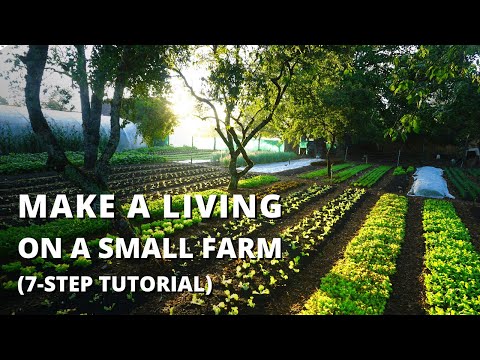 How to Start a Farm From Scratch (Beginner&#039;s Guide to Growing Vegetables for Profit)