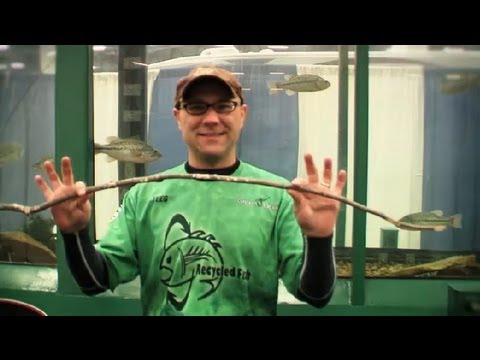 How to Build a Fishing Pole Using a Stick : Fishing 101