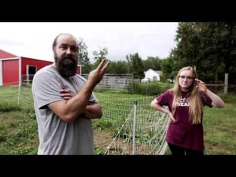 The Biggest Lesson We Have Learned Homesteading In Missouri!