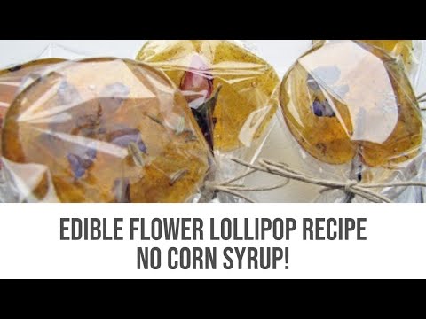 DIY ❆ Rustic Edible Flower Lollipops ❆ No Corn Syrup!