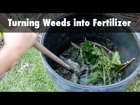 Turning Weeds into Fertilizer