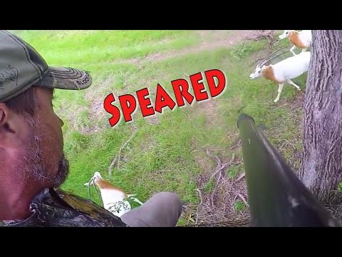 Spear Hunting Texas Big Game 4K Running Kill