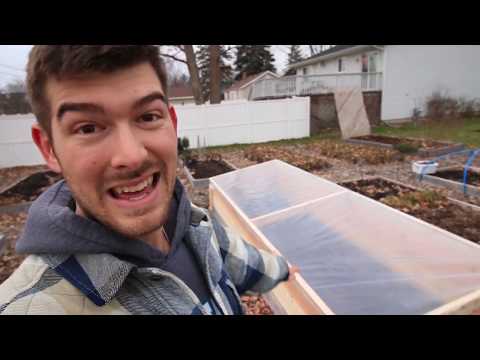 How to Build a Cold Frame for $50 from Start to Finish - Grow Vegetables All Winter