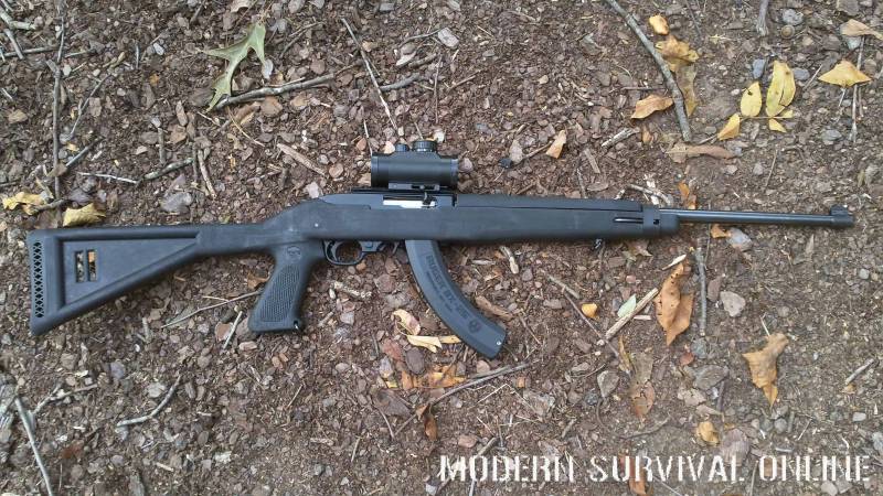 Ruger 10/22 tactical trainer