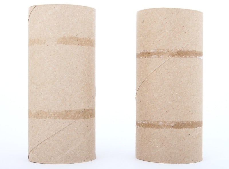 empty rolls of toilet paper