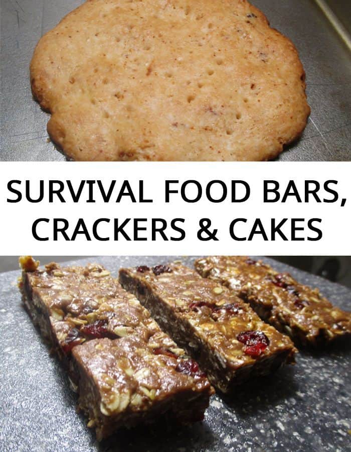 survival food bars