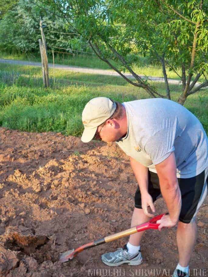 digging the garden
