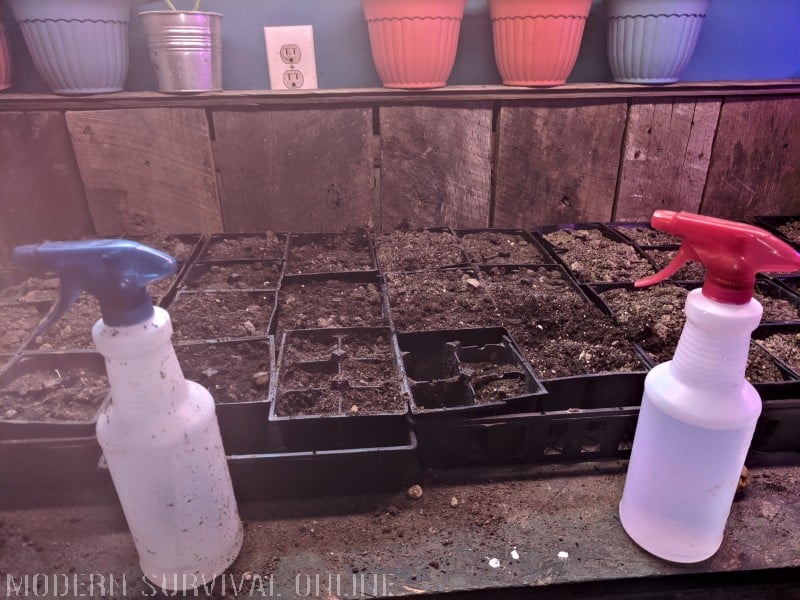 water sprayers next to seedlings containers