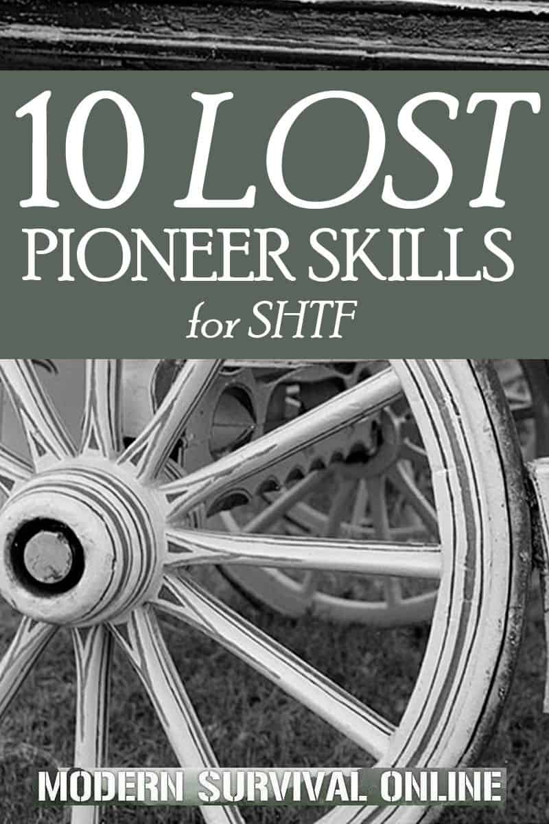 pioneer skills pin