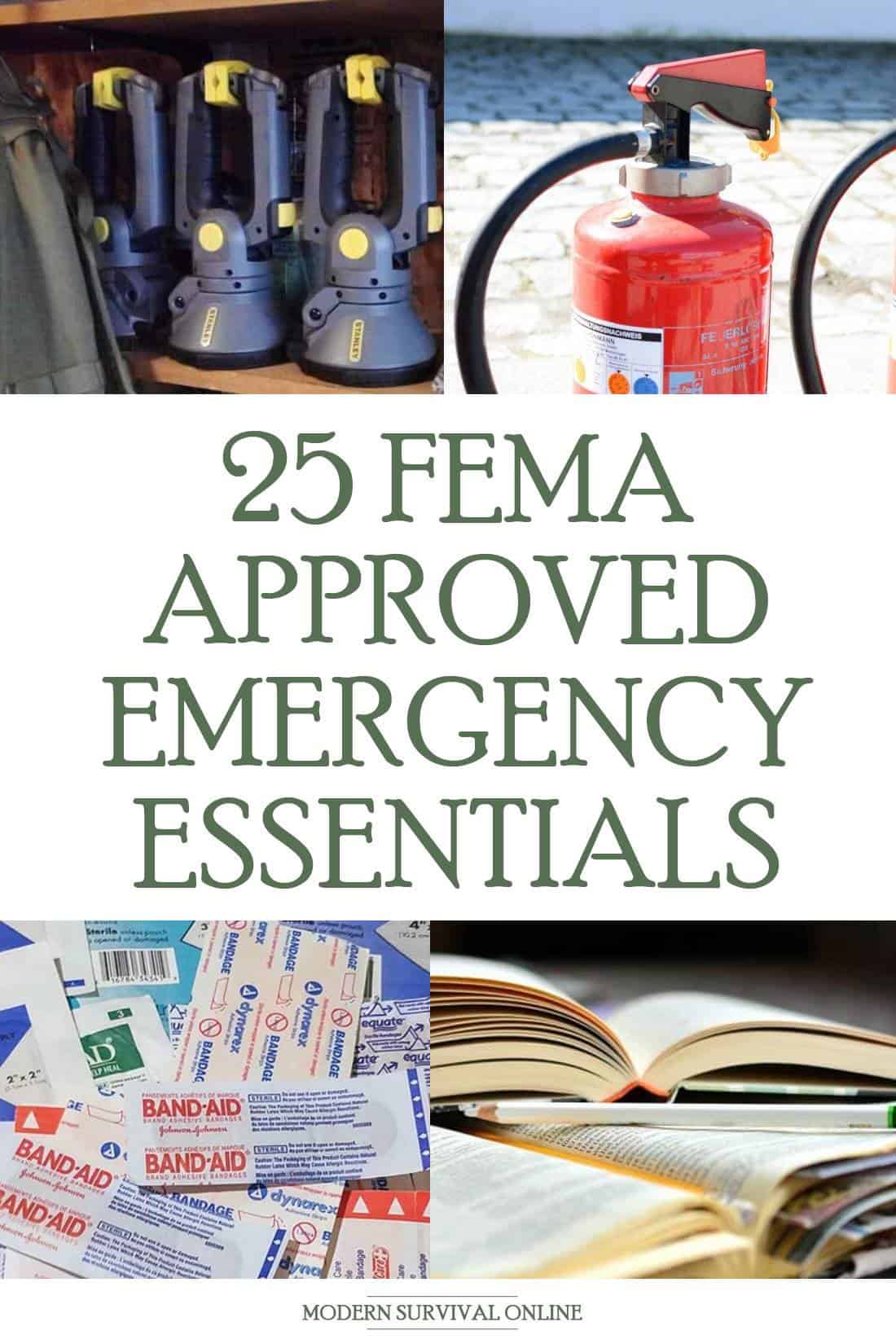 FEMA survival items pin image