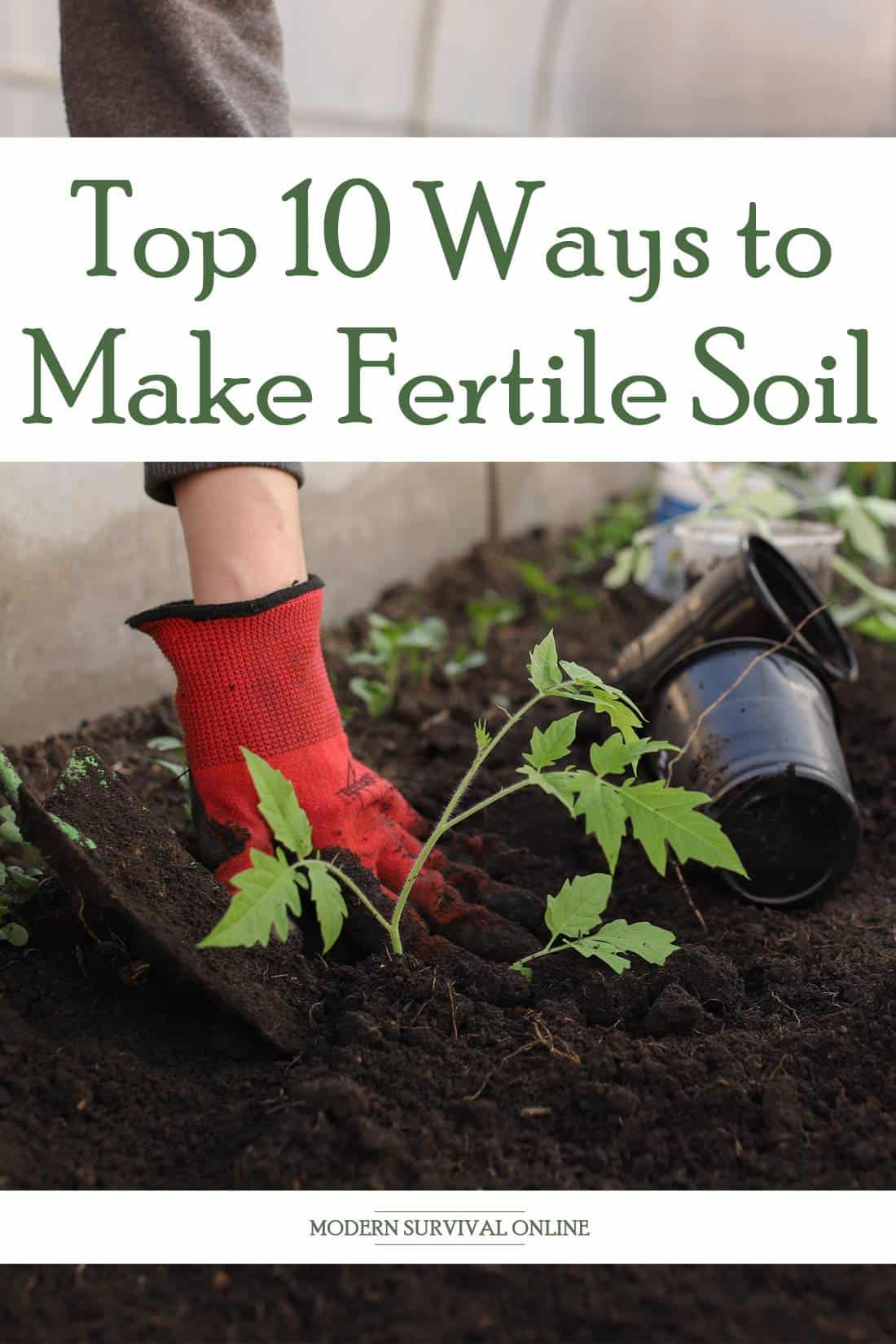 fertile soil Pinterest image