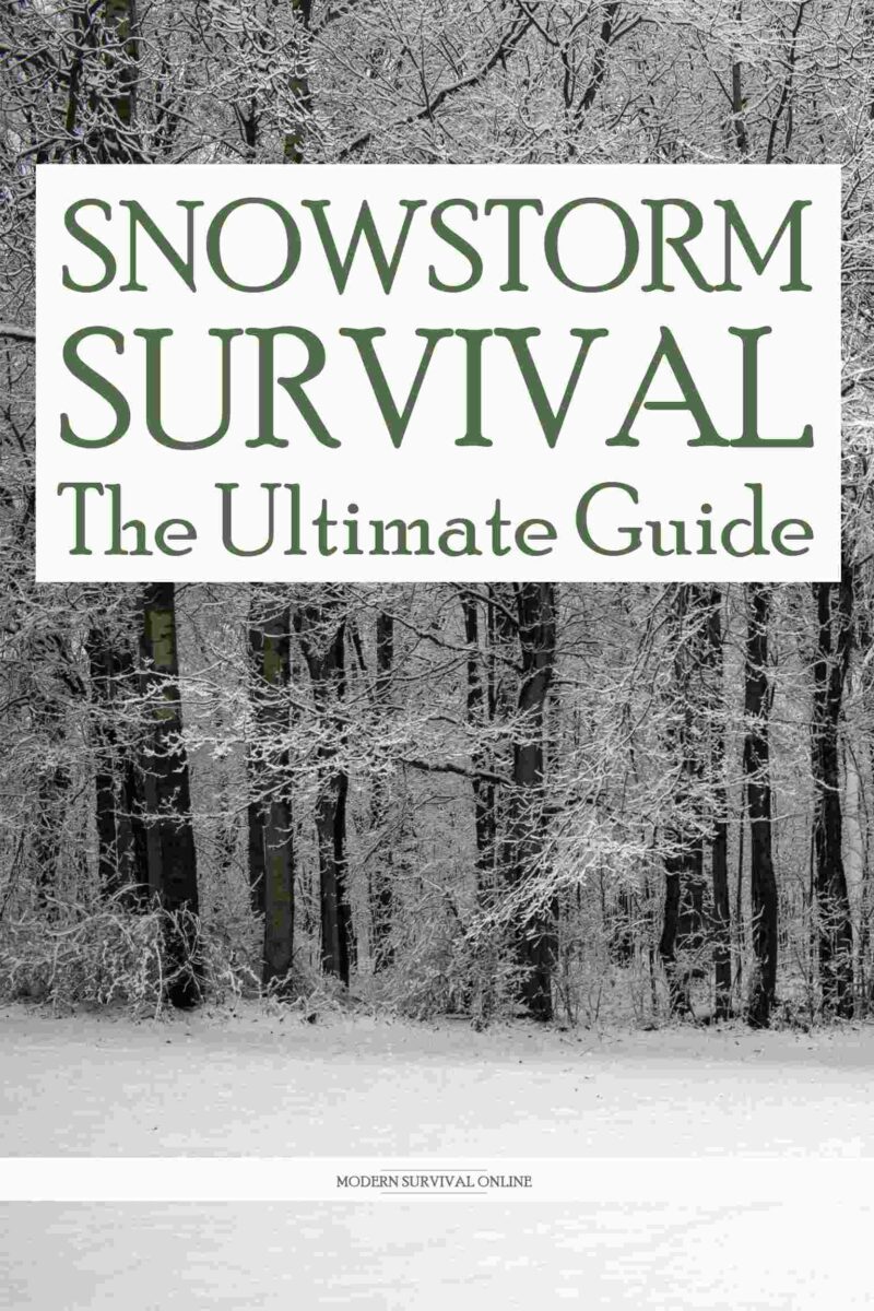 snowstorm survival pinterest