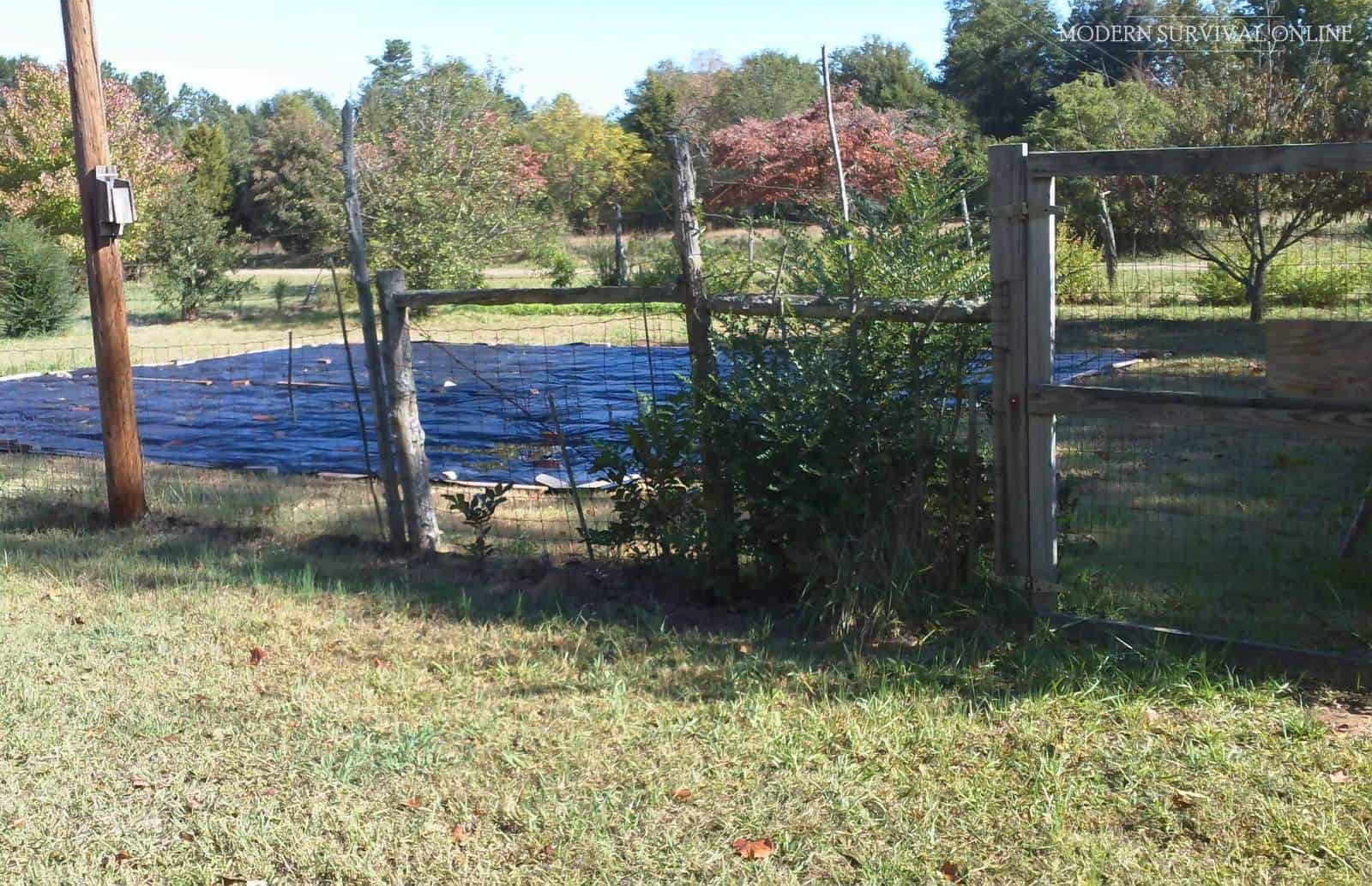 fenced garden against deer