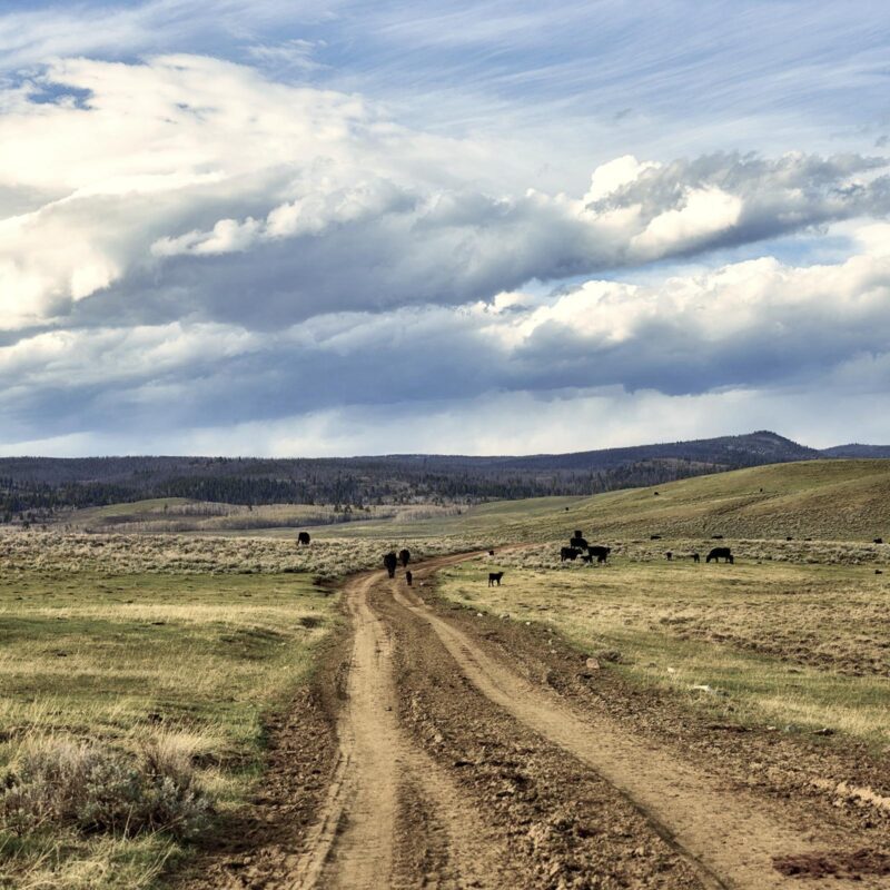 country road in Wyoming 