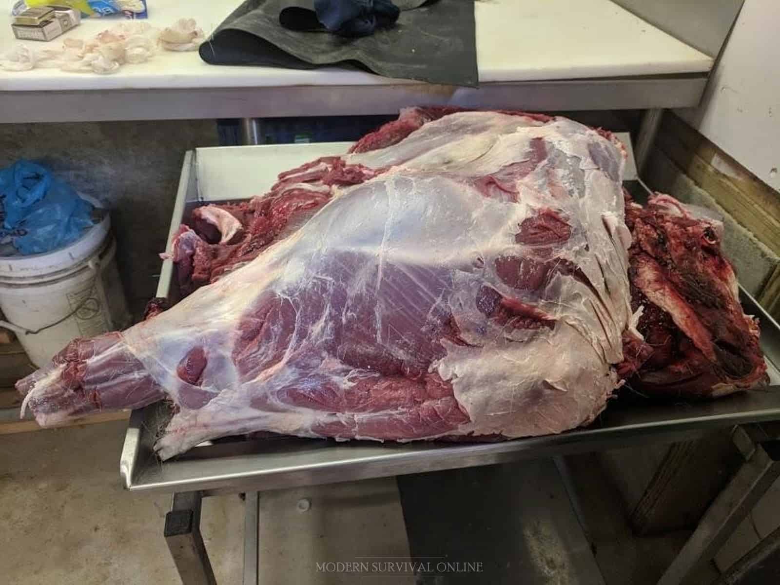 deer meat on butcher table