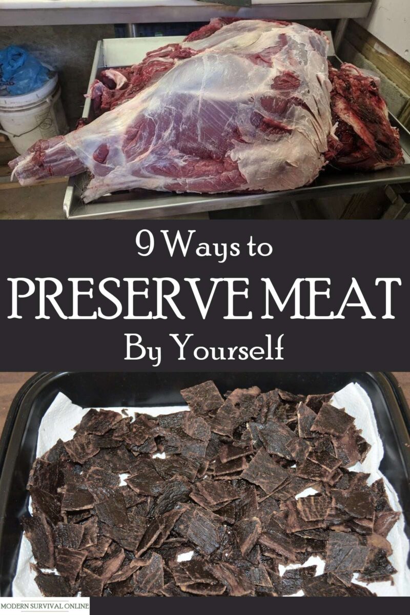 meat preservation pinterest image