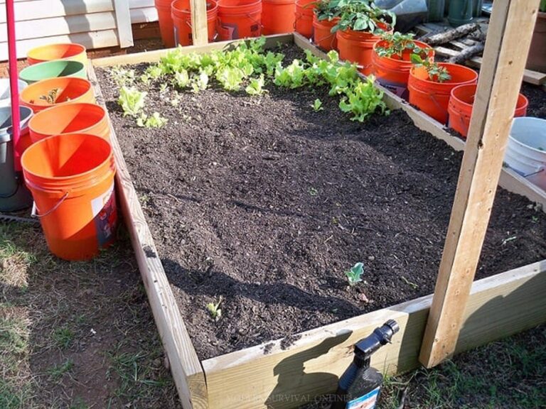 a raised garden bed with wooden frame