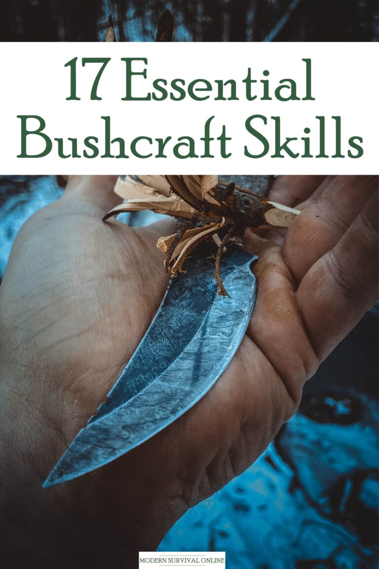 bushcraft skills pin image