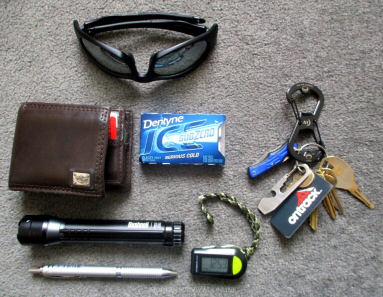 EDC items wallet, sunglasses, keys, flashlight, pen, carabiner, mints and multi-tool.