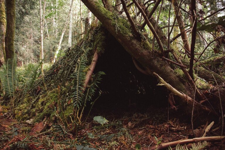 bushcraft survival shelter