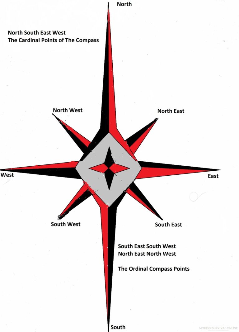 compass rose diagram