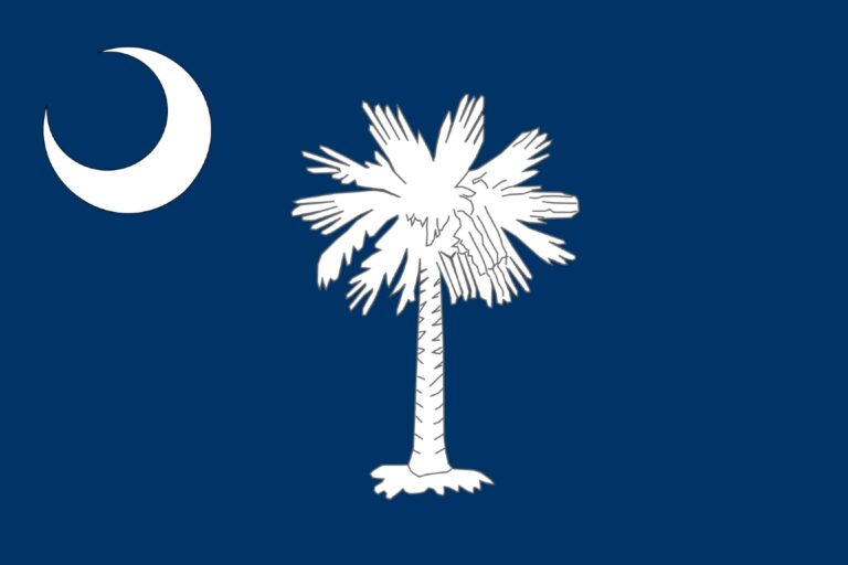 flag of south carolina
