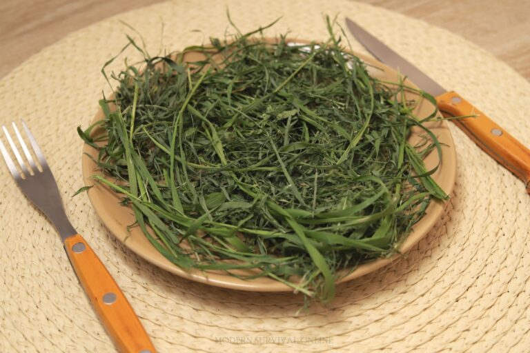 grass on dinner plate